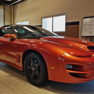 Meet your Posher, Cody